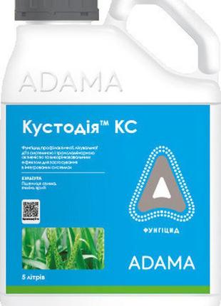 Новинка року кустодія (5л) !)