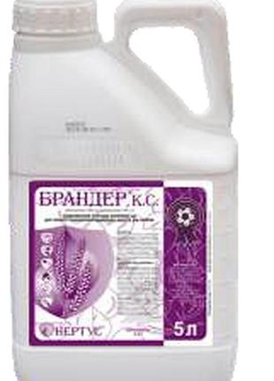 Новинка брандер, кс (5л) !)