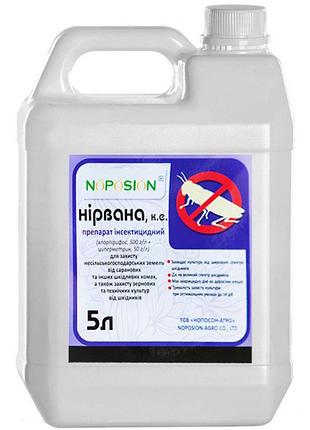 Новинка нірвана (5л) !)