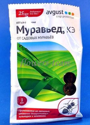 Новинка мурахоїд муравьед мурав'єд мурацид диазинон !)