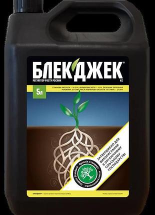 Стимулятор росту і коренеутворення блекджек (blackjak) 100 мл ...