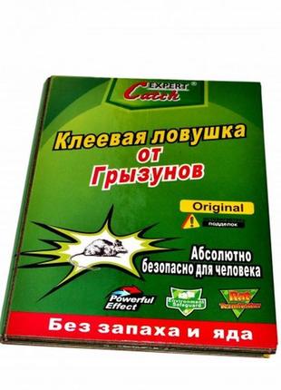 Новинка клейова пастка для мишей, гризунів книжка(капкан) мишо...