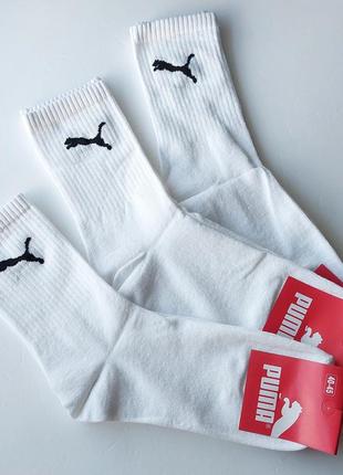 6 пар шкарпетки чоловічі "puma". 40-45р. білі. високі. демісезонні.