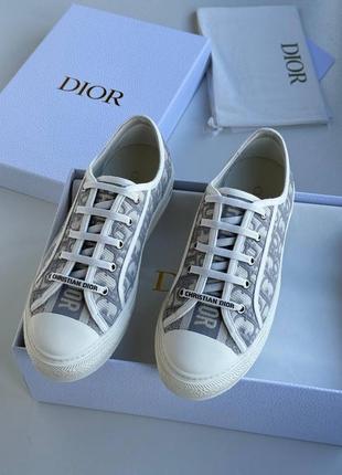 Кеди dior walk