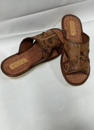 Белста кімнатна