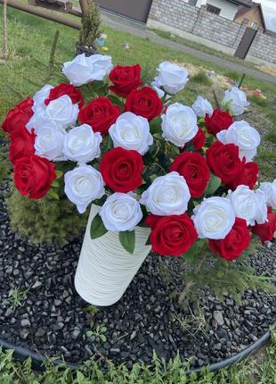 Троянда латексна2 фото