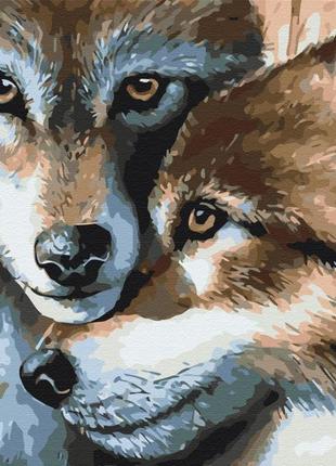 Картина по номерам волчья пара 40x50 см brushme разноцветный (2000002211587)