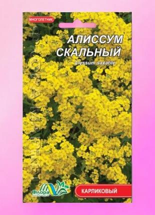 Аліссум скельний, багаторічний жовтий, насіння квіти 0.10 г