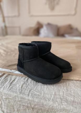 Ugg mini женские сапоги с овчиной черного цвета