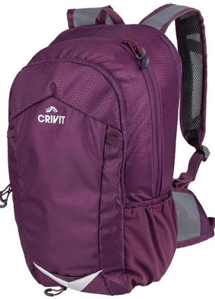 Спортивний рюкзак з дощовиком 26х46х18(+5) см crivit фіолетовий (2000002461661)