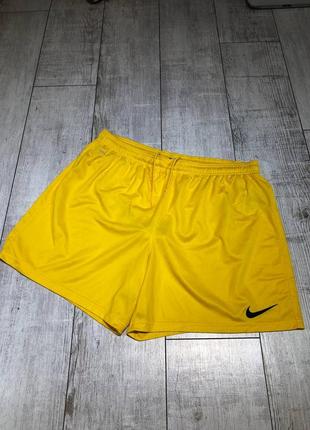 Шорты nike dri fit