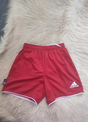 Спортивні шорти adidas climalite