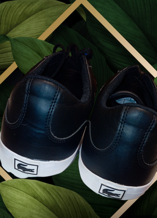 Кеды, кроссовки lacoste 2