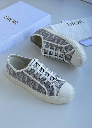 Кеды диор dior