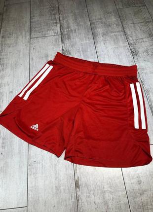 Шорты новые adidas