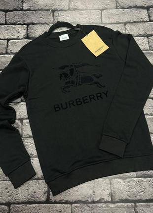 Чоловічий брендовий світшот burberry