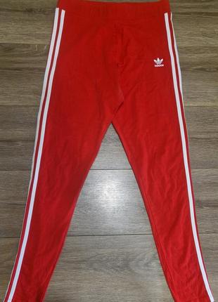 Лосіни adidas