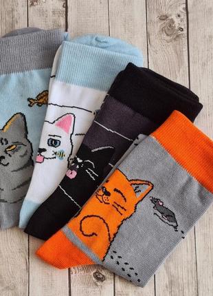Набор носков "мои котики"1 фото