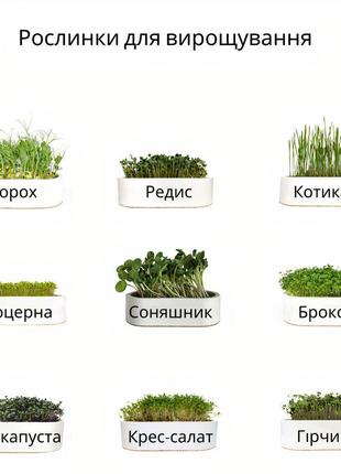 Набір для вирощування мікрозелені7 фото