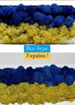 Кашпо со стабилизированным мхом желто-голубого цвета, флаг украины4 фото