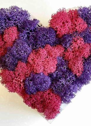 Кашпо серце зі стабілізованим мохом. рожеве і бузкове серце1 фото