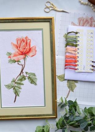 Набір для вишивання хрестиком "чайна троянда"1 фото