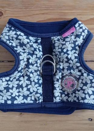 Повідок, шлейки