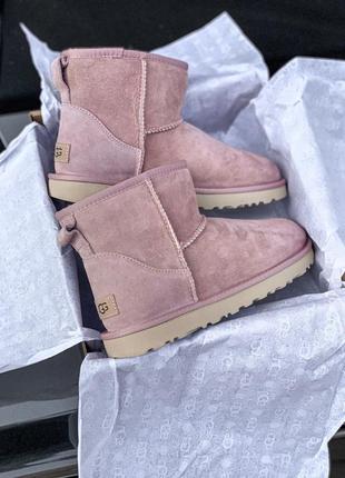 Рожеві жіночі уггі ugg classic mini pink