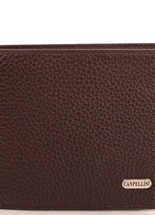 Мужской кожаный кошелек (shi1044-10fl) canpellini 12х9,7х1,5 см коричневый cl0118123