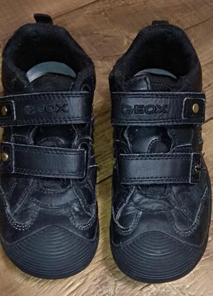 Черевики кросівки напівчеревики 28-29р 18см шкіряні geox