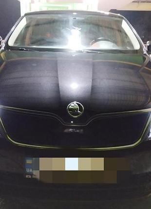 Зимняя накладка на решетку радиатора skoda rapid 2012- (верх) матовая digital designs