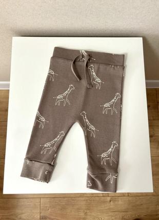 Нові штани з жирафами 3-6 міс george1 фото