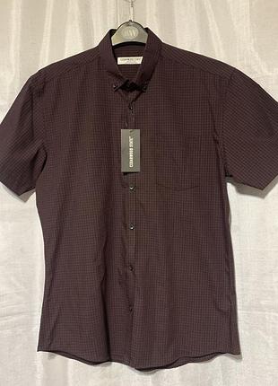 Мужская рубашка cedarwood state