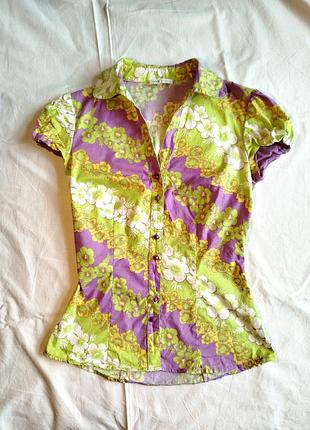 Хлопковкая блуза женская блузка с коротким рукавом короткими рукавами приталенная
