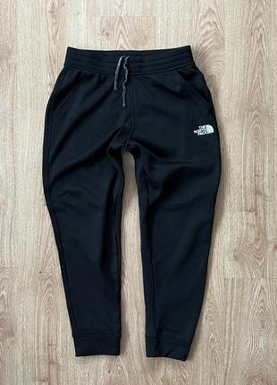 Спортивные штаны the north face1 фото