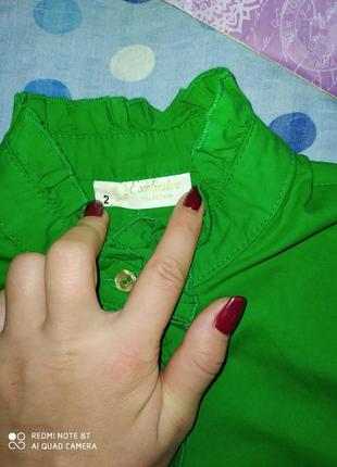 Зелёная рубашка4 фото