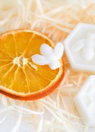 Натуральні свічки