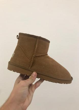 Зимние женские угги ugg коричневые (уггі)