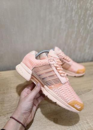 Женские кроссовки " adidas climacool 1"1 фото