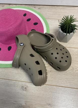 Классические кроксы crocs classic 10001-2602 фото