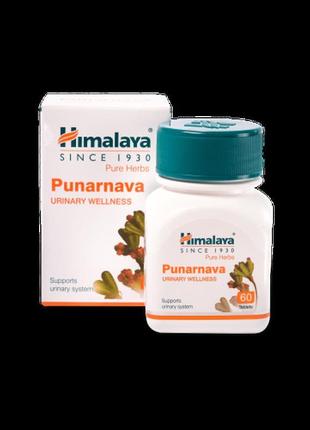 Протизапальний засіб на натуральній основі для нирок punarnava...