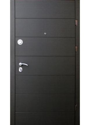 Двери форт-вип горизонталь уличная