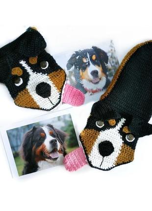 Вязаные носки-собаки бернский зенненхунд2 фото