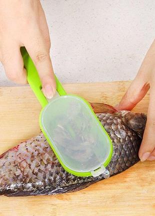 Рибочистка ніж для чищення луски риби killing-fish knife зелена4 фото