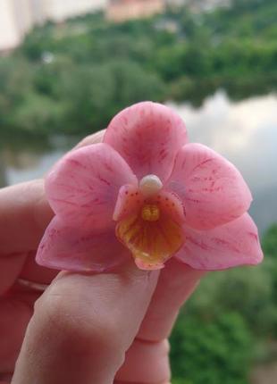 Брошка "орхідея" 2