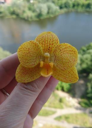 Брошка "орхідея"1 фото