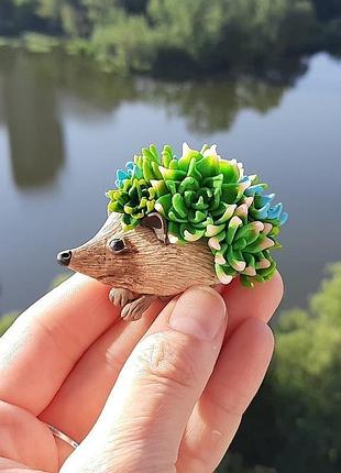 Магнитик ёжик с суккулентами