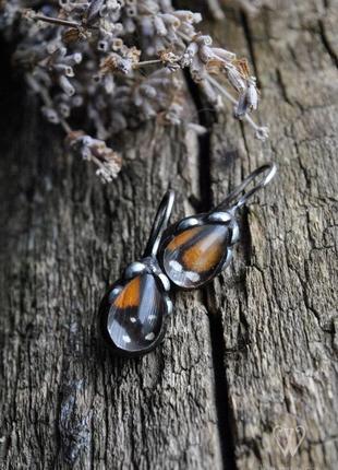 Серебряные серьги с крыльями настоящей бабочки1 фото