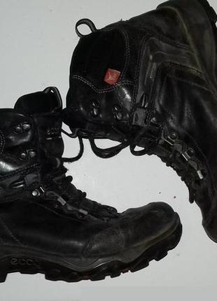 Мужские кроссовки-ботинки ecco xpedition gore-tex 1948x4 фото