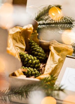 Набор свечей "шишки" из натурального воска, 3 шт. подарочные свечи оптом. новогодние свечи